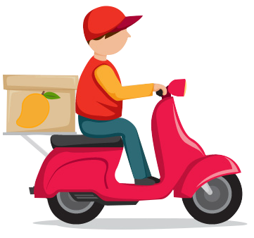 Delivery Icon
