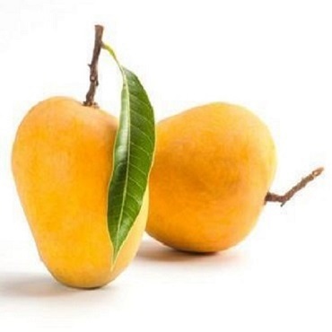 mangoes